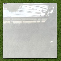Gạch lát nền Grandcera Phương Nam 80x80 CLA8818