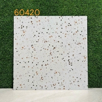 Gạch lát nền Terrazzo 60x60 KIS 60420