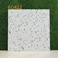 Gạch lát nền Terrazzo 60x60 KIS 60422