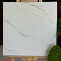 Gạch lát nền Mikado 60x60 6015