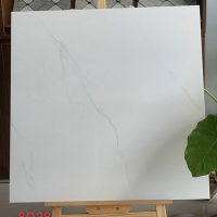 Gạch lát nền Mikado 80x80 8028