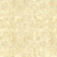 Gạch lát nền Mikado 80x80 CECO801