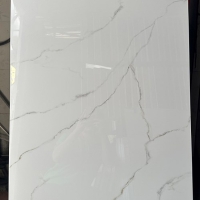 Gạch lát nền ốp tường Viglacera 60x120 GP61201