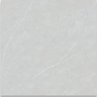 Gạch lát nền Phương Nam 60x60 PC6003