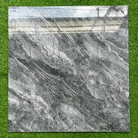 Gạch lát nền Phương Nam 80x80 ECO8805