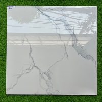 Gạch lát nền Phương Nam 80x80 ECO8811