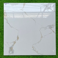 Gạch lát nền Phương Nam 80x80 ECO8812