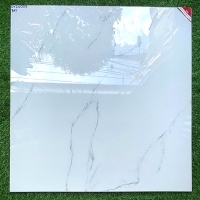 Gạch lát nền Prime 100x100 OV21003