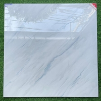 Gạch lát nền Prime 100x100 OV21009