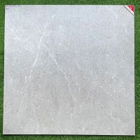 Gạch lát nền Prime 100x100 OV21012 mờ