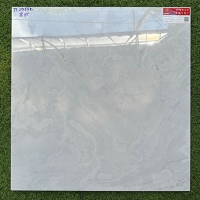 Gạch lát nền Prime 600x600 TP29155K