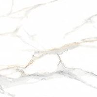 Gạch lát nền Prime 60x120 12303