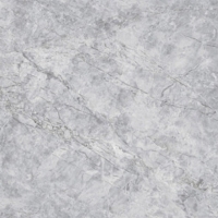 Gạch lát nền Prime 60x120 12304