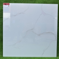 Gạch lát nền Prime 80x80 30000