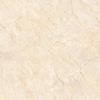 Gạch lát nền Prime 80x80 8741