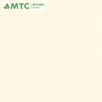 Gạch lát nền Sunrise 80x80 MTC9801