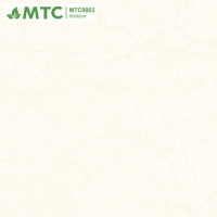 Gạch lát nền Sunrise 80x80 MTC9803