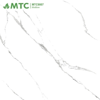 Gạch lát nền Sunrise 80x80 MTC9807