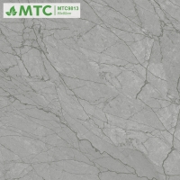 Gạch lát nền Sunrise 80x80 MTC9813