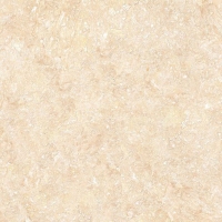 Gạch lát nền Takao 60x60 16108