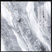 Gạch lát nền Tasa 100x100 1361