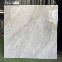 Gạch lát nền Tasa 100x100 TOP 1353