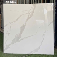 Gạch lát nền Tasa 100x100 TOP 1362