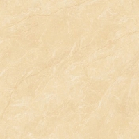 Gạch lát nền Tasa 80x80 8327