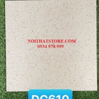 Gạch lát nền Trung Quốc 60x60 DC610