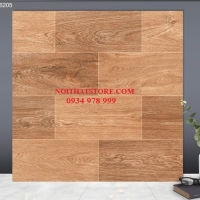 Gạch lát nền TTC 60x60 FM66205