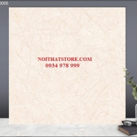 Gạch lát nền TTC 60x60 PN66005