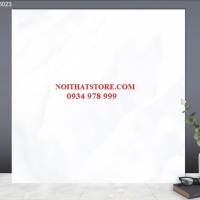 Gạch lát nền TTC 60x60 PN66023