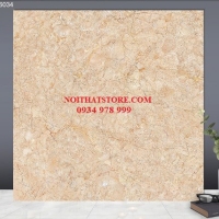 Gạch lát nền TTC 60x60 PN66034