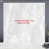 Gạch lát nền TTC 60x60 PN66037