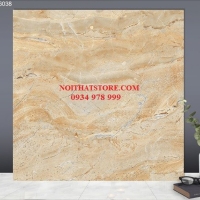 Gạch lát nền TTC 60x60 PN66038