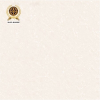 Gạch lát nền Vicenza 60x60 ML 6026C