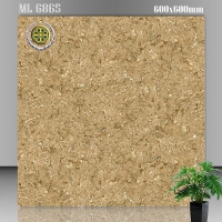 Gạch lát nền Vicenza 60x60 ML 6865