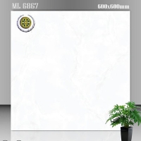 Gạch lát nền Vicenza 60x60 ML 6867