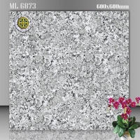 Gạch lát nền Vicenza 60x60 ML 6873