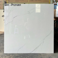 Gạch lát nền Viglacera 120x120 SH1-P121201