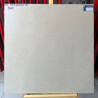 Gạch lát nền Viglacera 80x80 VHP8810 mờ