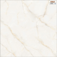 Gạch lát nền Vitaly 60x60 VP6667