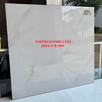 Gạch lát nền Vitaly 60x60 VP6672