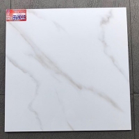 Gạch lát nền Ý Mỹ 600x600 EF69011