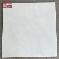 Gạch lát nền Ý Mỹ 600x600 EN69009