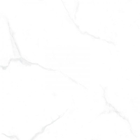 Gạch lát nền Ý Mỹ 60x60 P68095