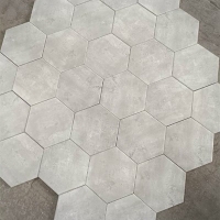 Gạch lục giác đẹp giá rẻ trắng xám mờ xi măng 20x23
