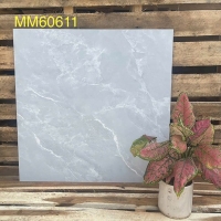 Gạch men mờ giá rẻ 60x60 Phương Nam MM60611