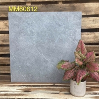 Gạch men mờ giá rẻ 60x60 Phương nam MM60612