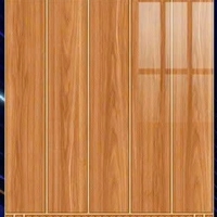 Gạch ốp chân tường 60x90 6904